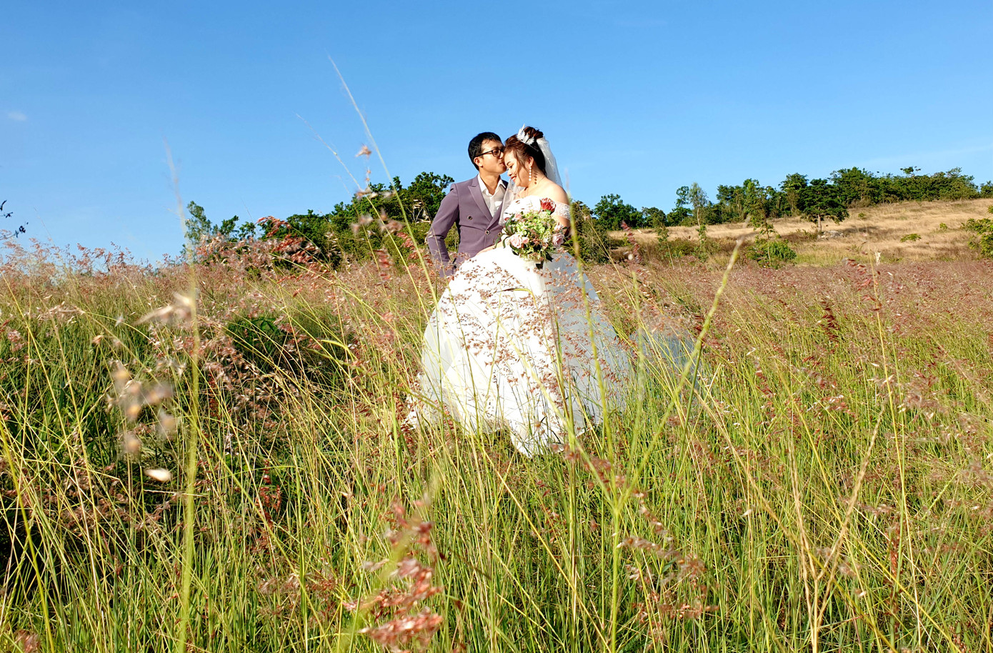 Đồi cỏ hồng lần đầu 'chào khách' trên thảo nguyên M’đrắk ảnh 6