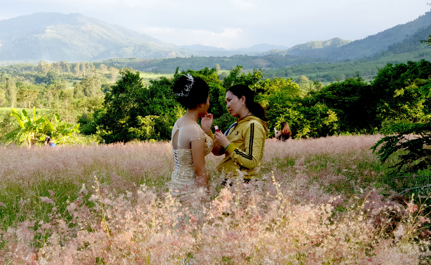 Đồi cỏ hồng lần đầu 'chào khách' trên thảo nguyên M’đrắk ảnh 5