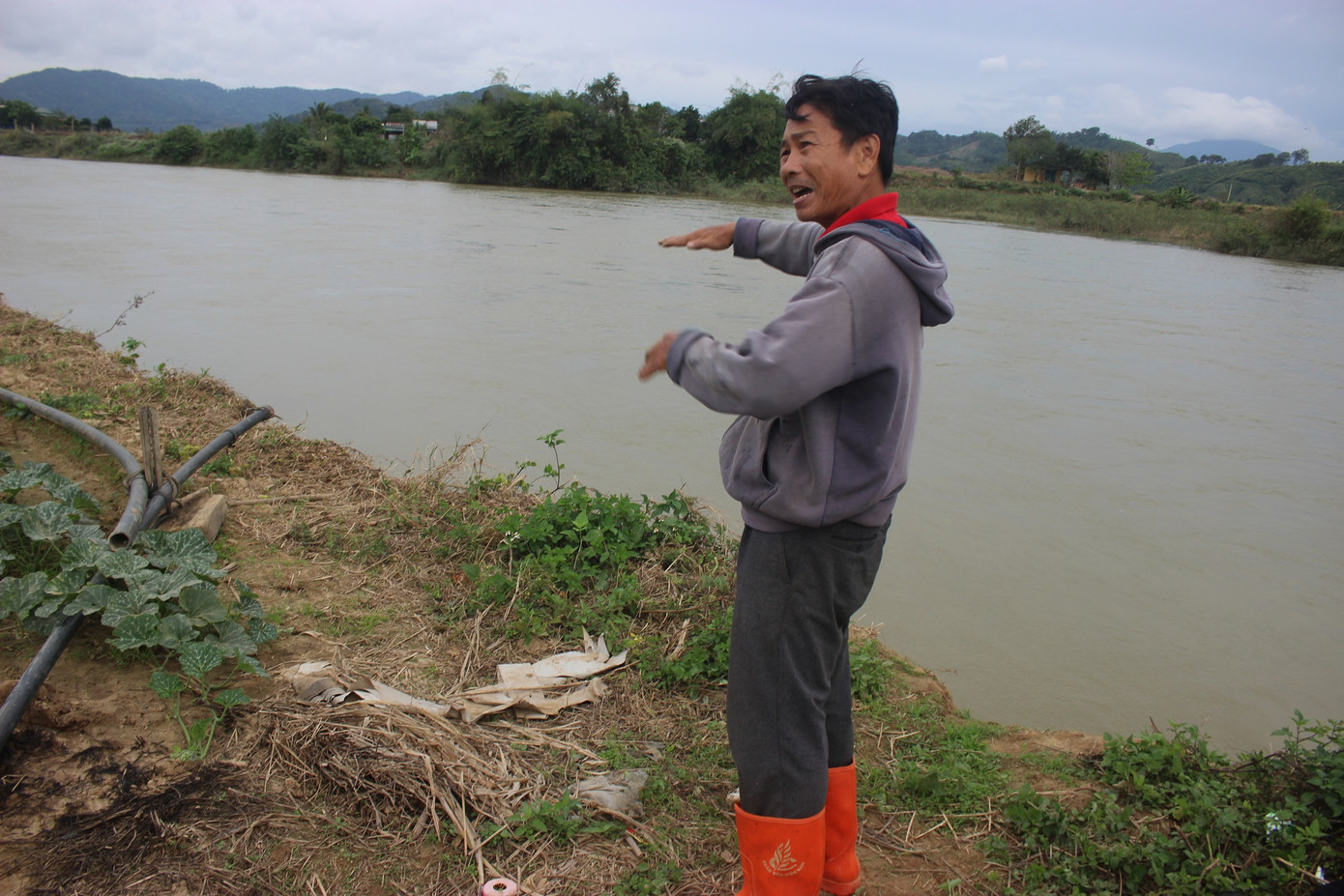 Bất lực nhìn sông Krông Nô 'ngoạm' đất trồng trọt nghiêm trọng ảnh 6