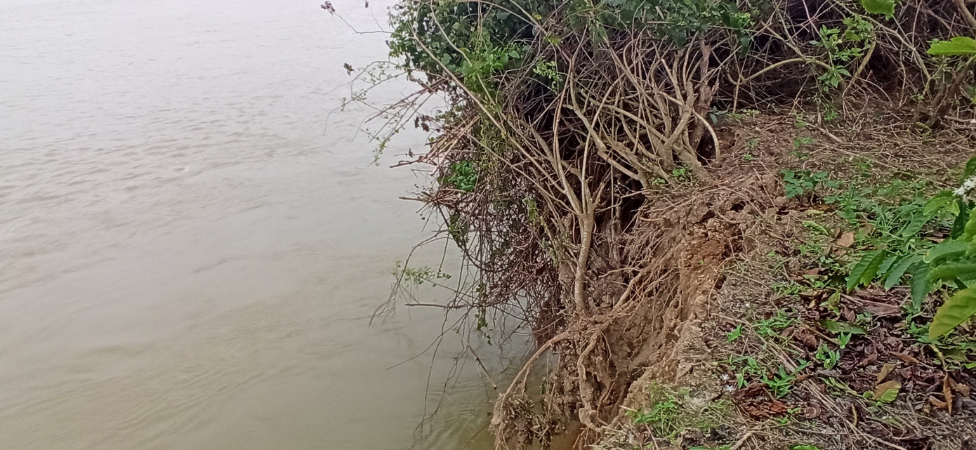 Bất lực nhìn sông Krông Nô 'ngoạm' đất trồng trọt nghiêm trọng ảnh 4