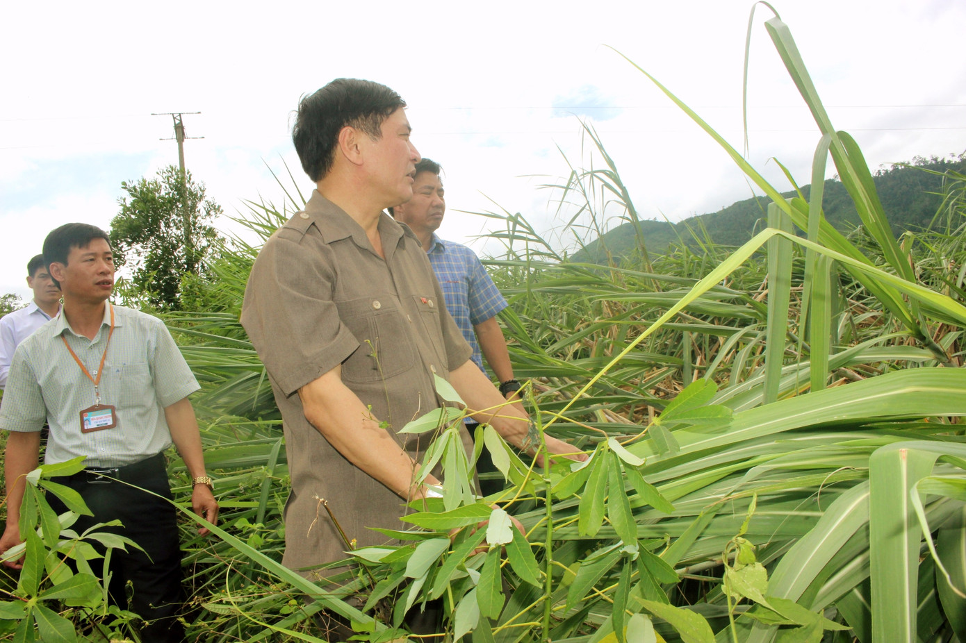 Kiểm tra hồ đập, Bí thư Đắk Lắk nhắc vụ vỡ đê nhấn chìm 2.000 ha lúa ảnh 1