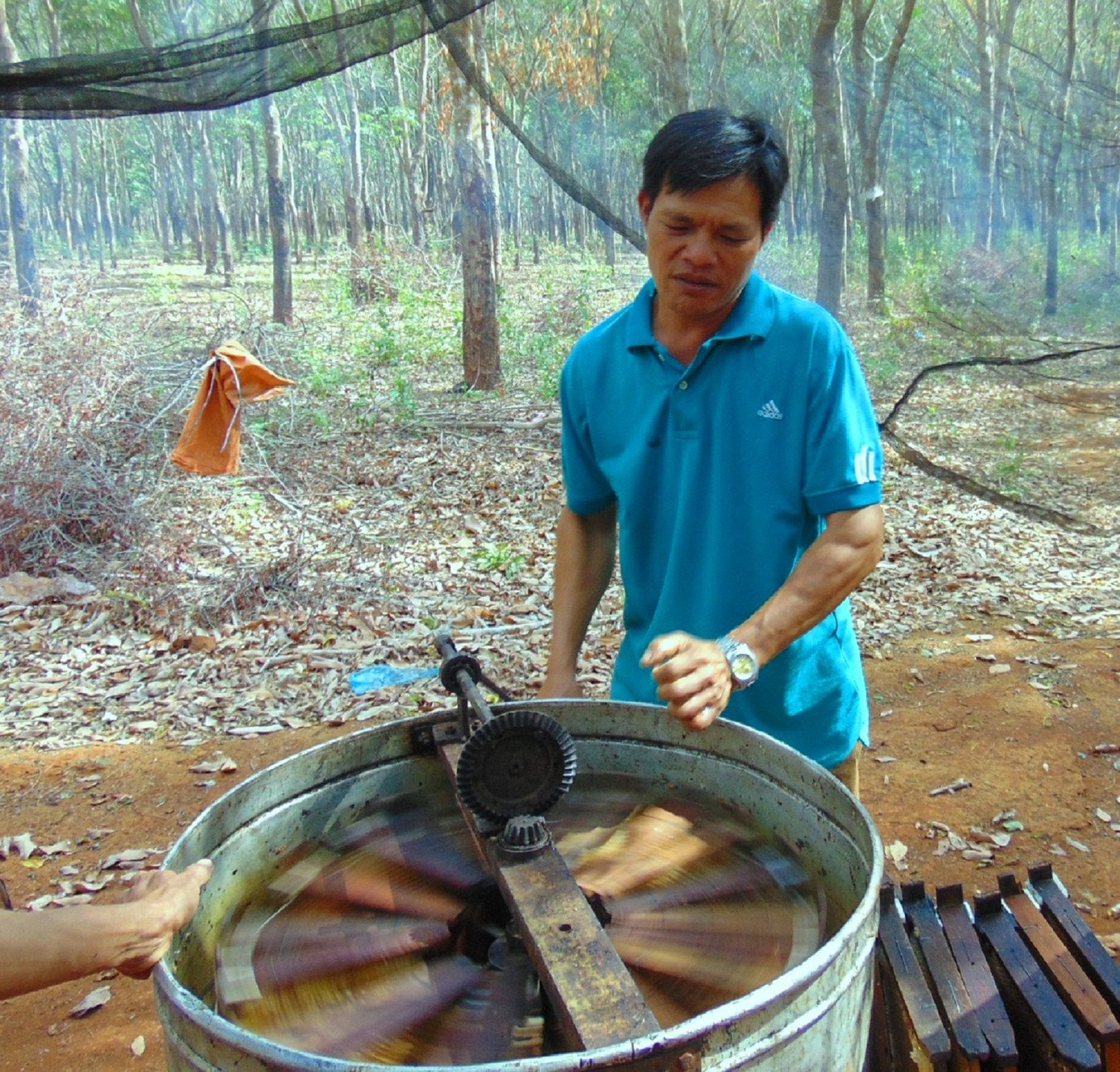 Lý thú đưa ong 'săn' hoa cà phê ảnh 5