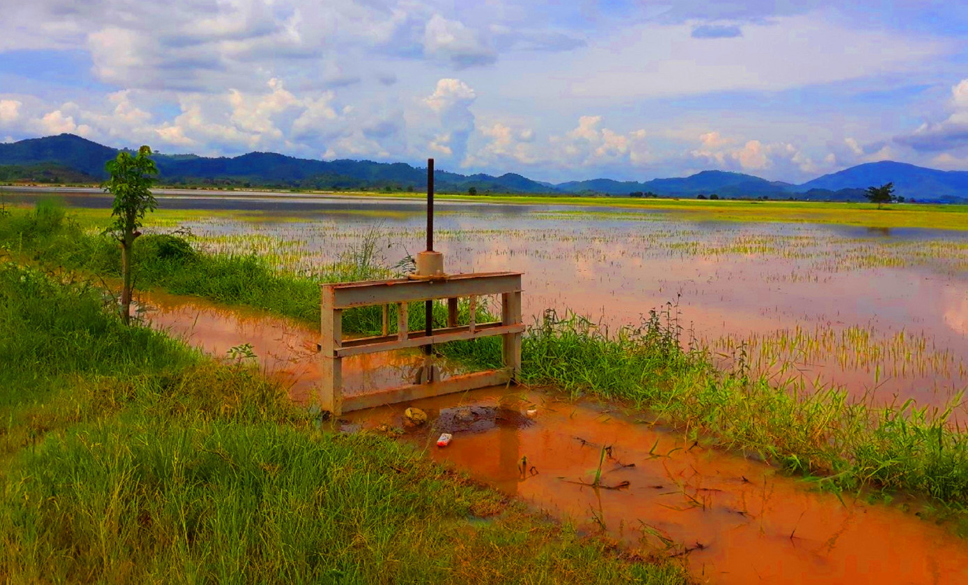 Ruộng lúa chìm trong nước lũ, hỏng đường dân sinh Đắk Lắk ảnh 1