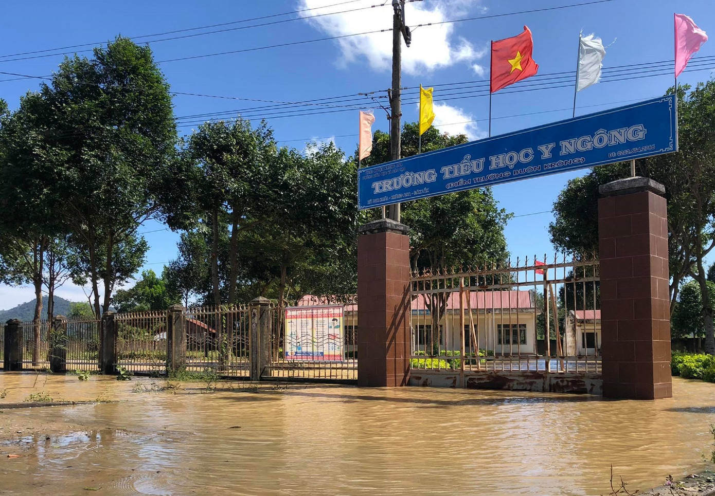 Nước lũ đổ về, hàng trăm hộ dân Đắk Lắk bị ngập nặng ảnh 1