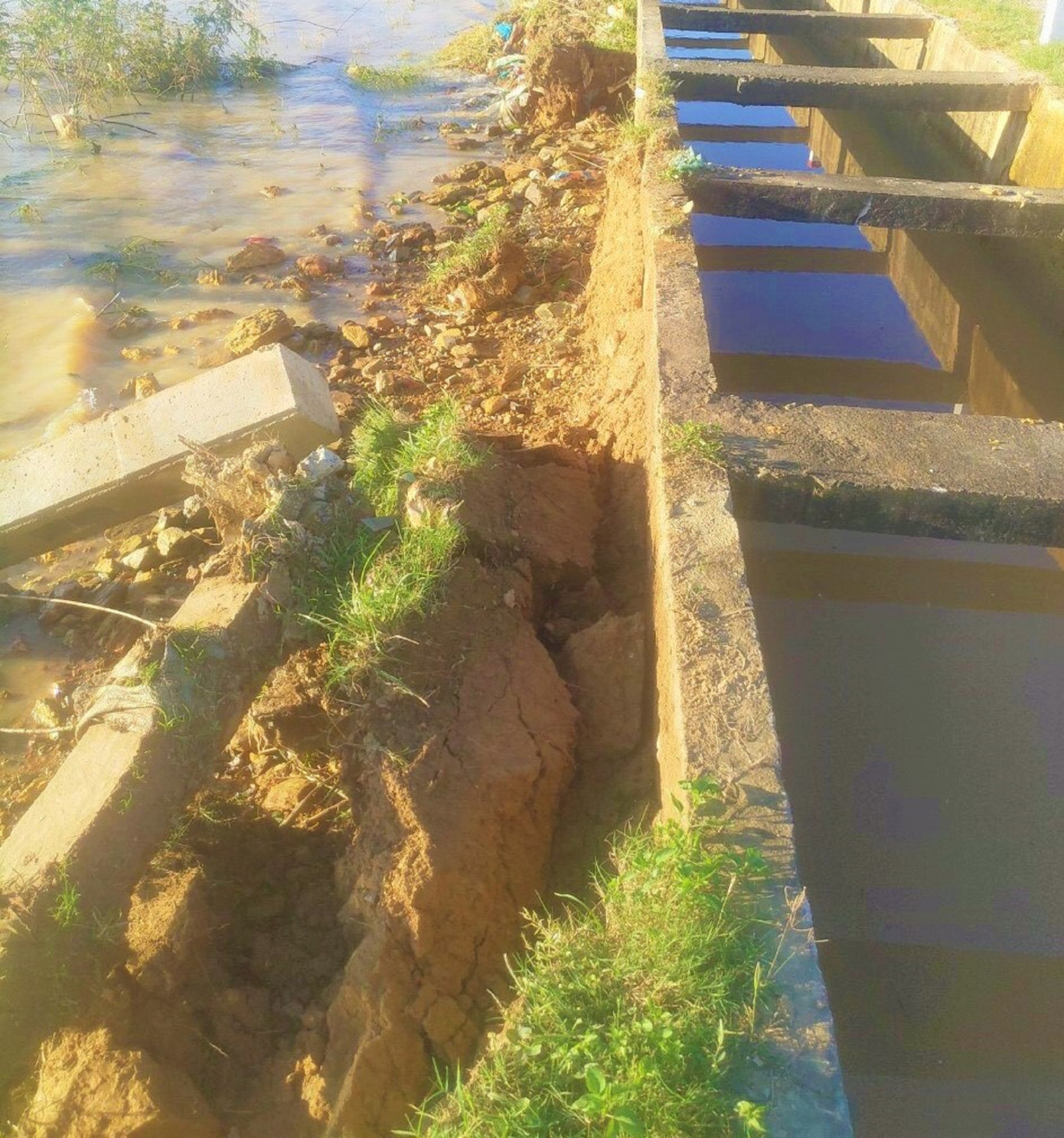 Nước lũ đổ về, hàng trăm hộ dân Đắk Lắk bị ngập nặng ảnh 5