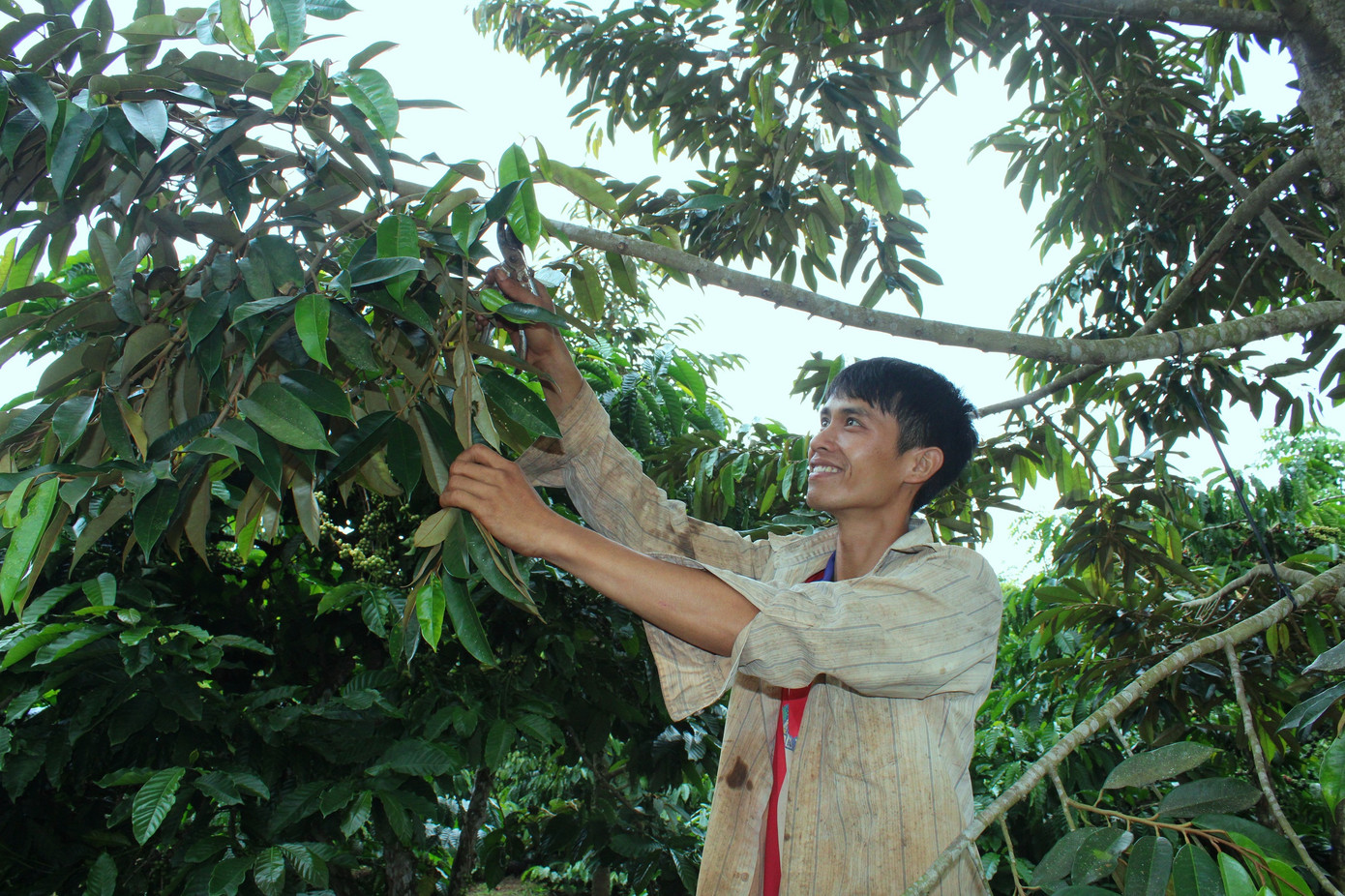 Tây Nguyên: 120 thanh niên tập huấn chuyển giao công nghệ và khởi nghiệp ảnh 2