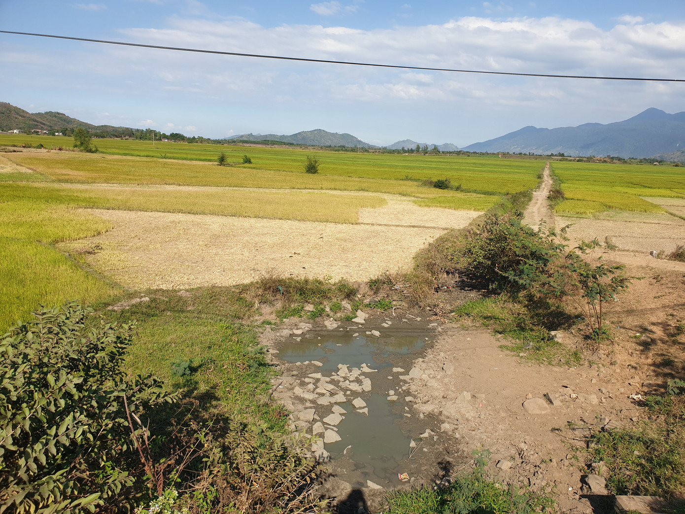 Tận thấy đồng đất cháy khô vì hạn hán ở Đắk Lắk ảnh 2