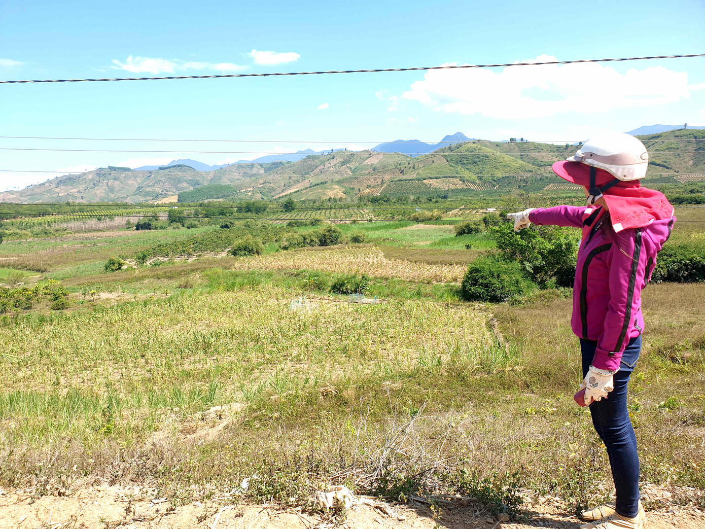 Tận thấy đồng đất cháy khô vì hạn hán ở Đắk Lắk ảnh 5