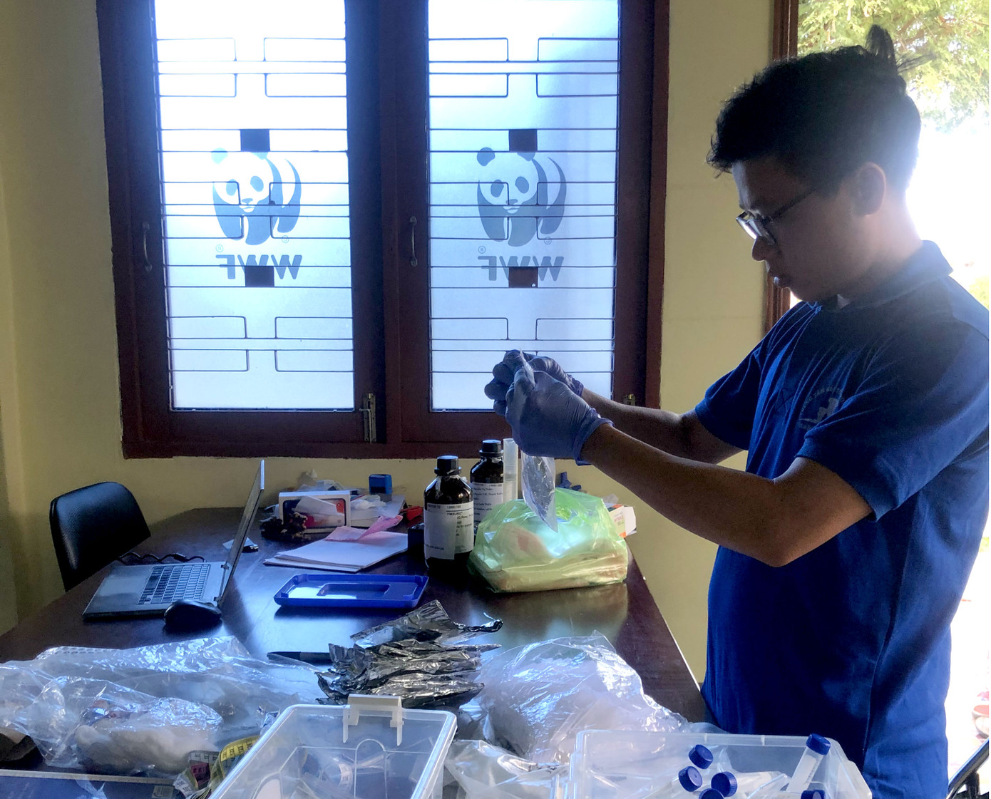 Công phu học cách lấy... phân voi ảnh 2