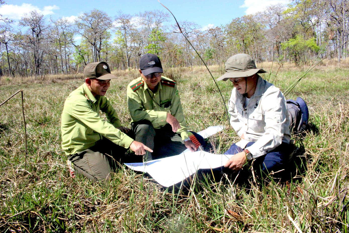 Công phu học cách lấy... phân voi ảnh 3