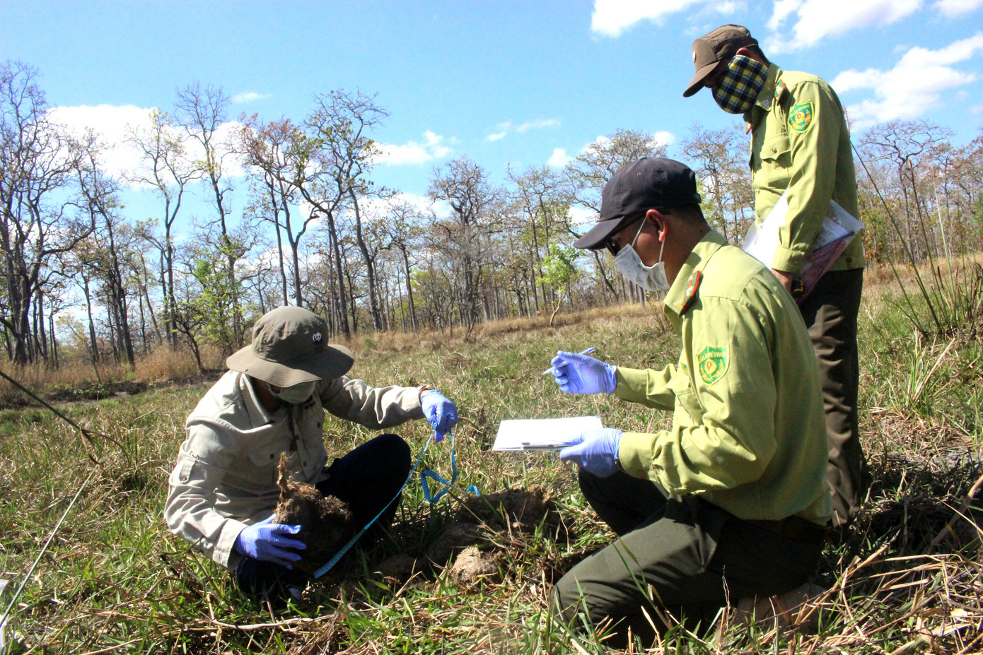 Công phu học cách lấy... phân voi ảnh 5