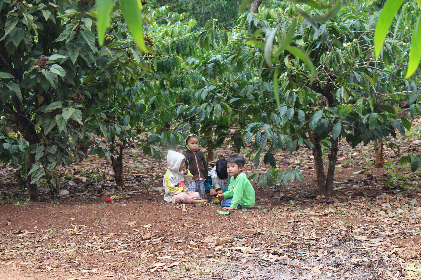 Những đứa trẻ nhặt phân bò, bắt sâu muồng thay học trực tuyến ảnh 5