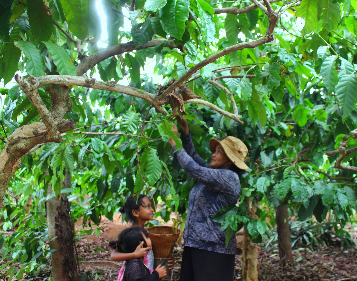 Những đứa trẻ nhặt phân bò, bắt sâu muồng thay học trực tuyến ảnh 3