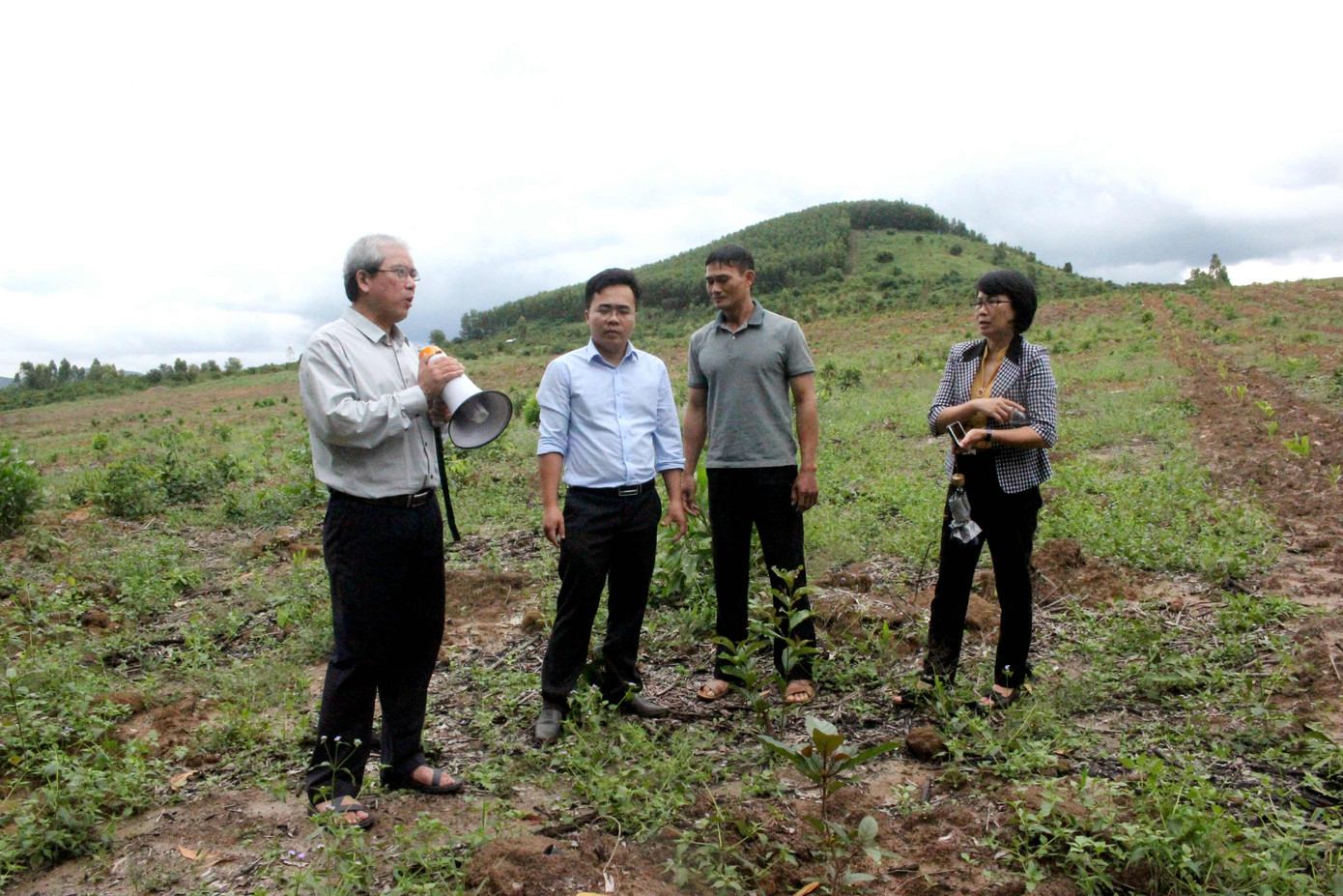 Giải pháp phục hồi rừng Tây Nguyên trước nguy cơ 'sa mạc hóa' ảnh 1