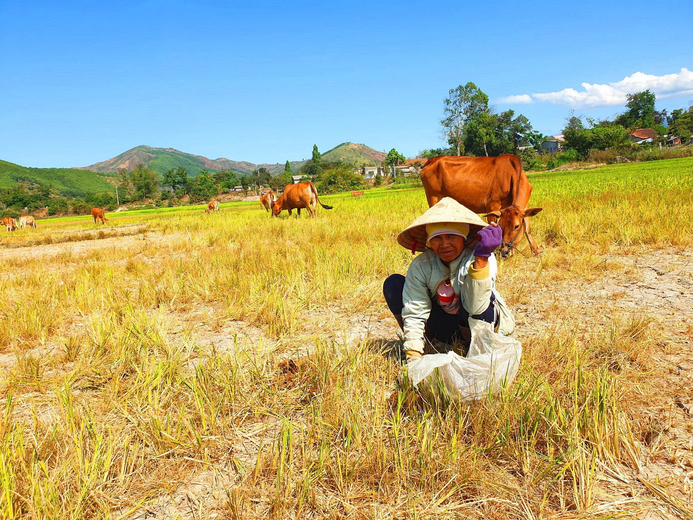 Sinh tồn trong thời tiết cực đoan ở lưu vực sông Sêrêpốk ảnh 1