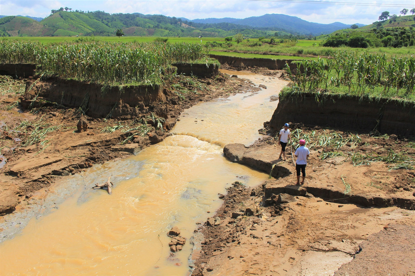 Sinh tồn trong thời tiết cực đoan ở lưu vực sông Sêrêpốk ảnh 2