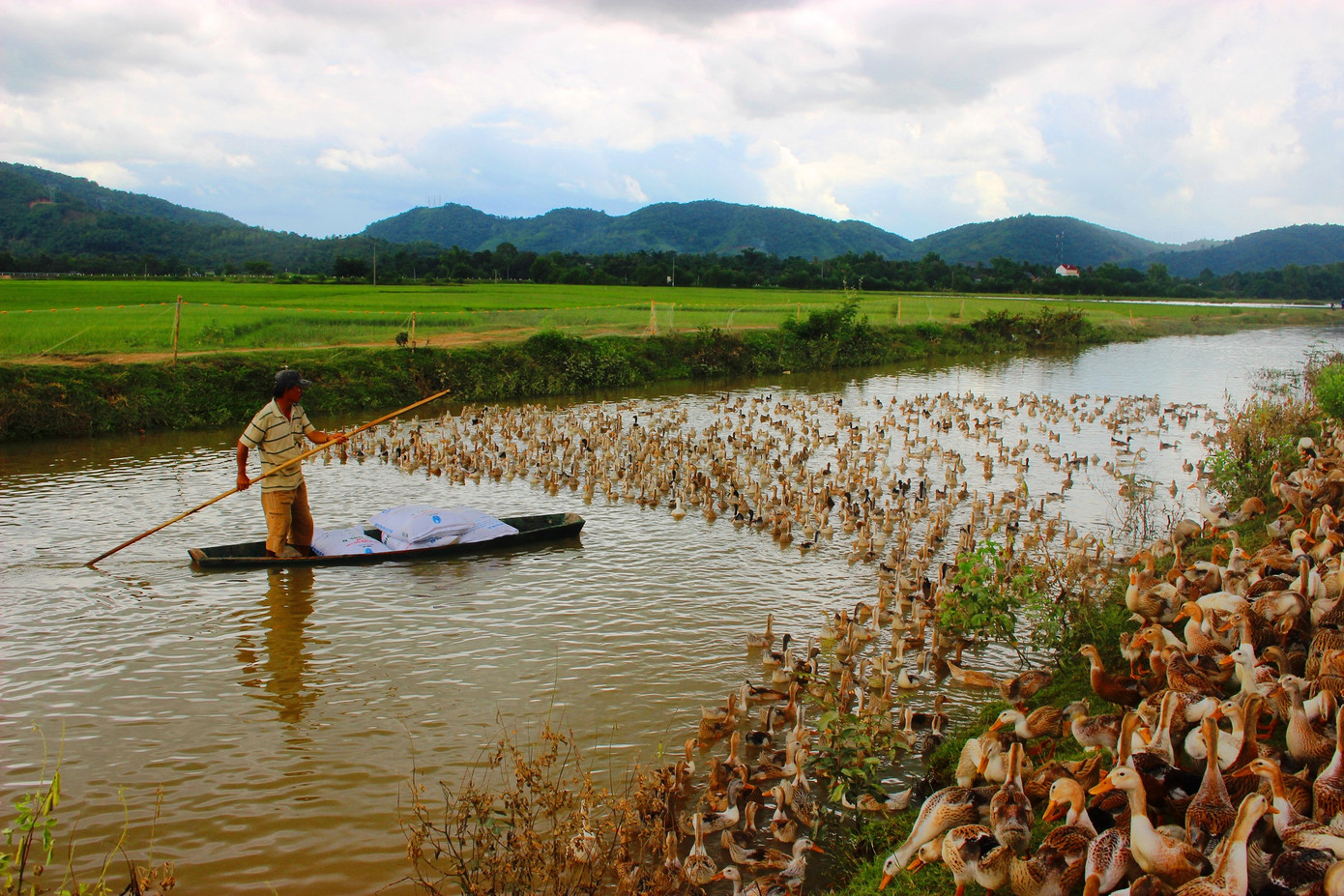 Sinh tồn trong thời tiết cực đoan ở lưu vực sông Sêrêpốk ảnh 3