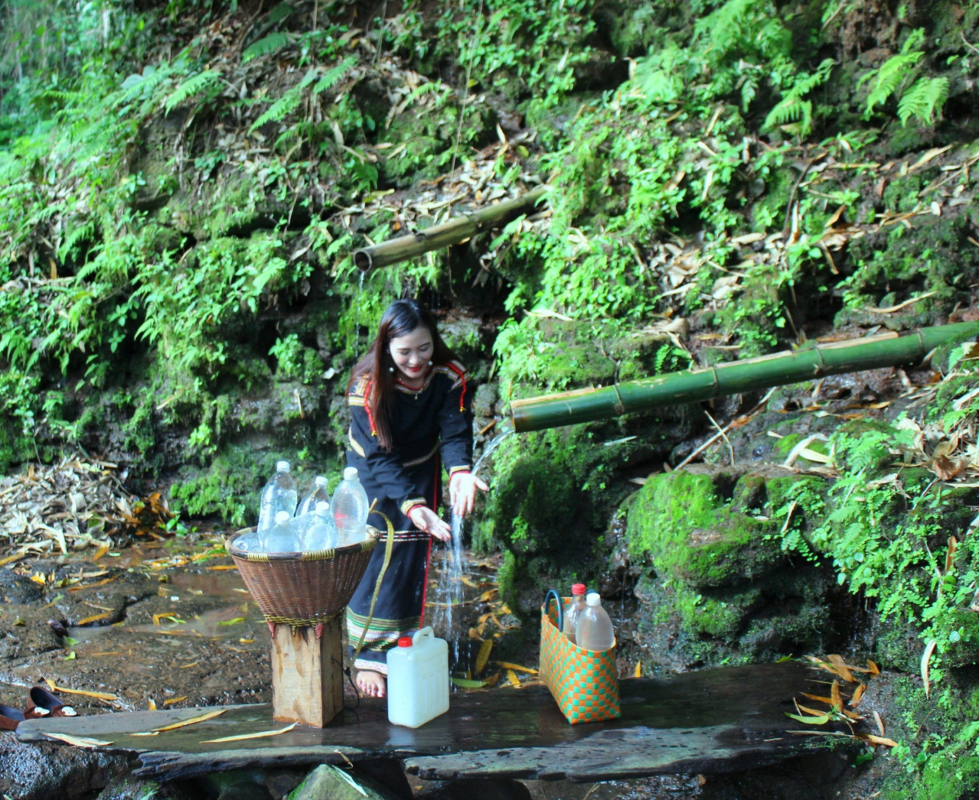 Kỳ lạ những bến nước giữa rừng nguyên sinh sát bên thành phố ảnh 2