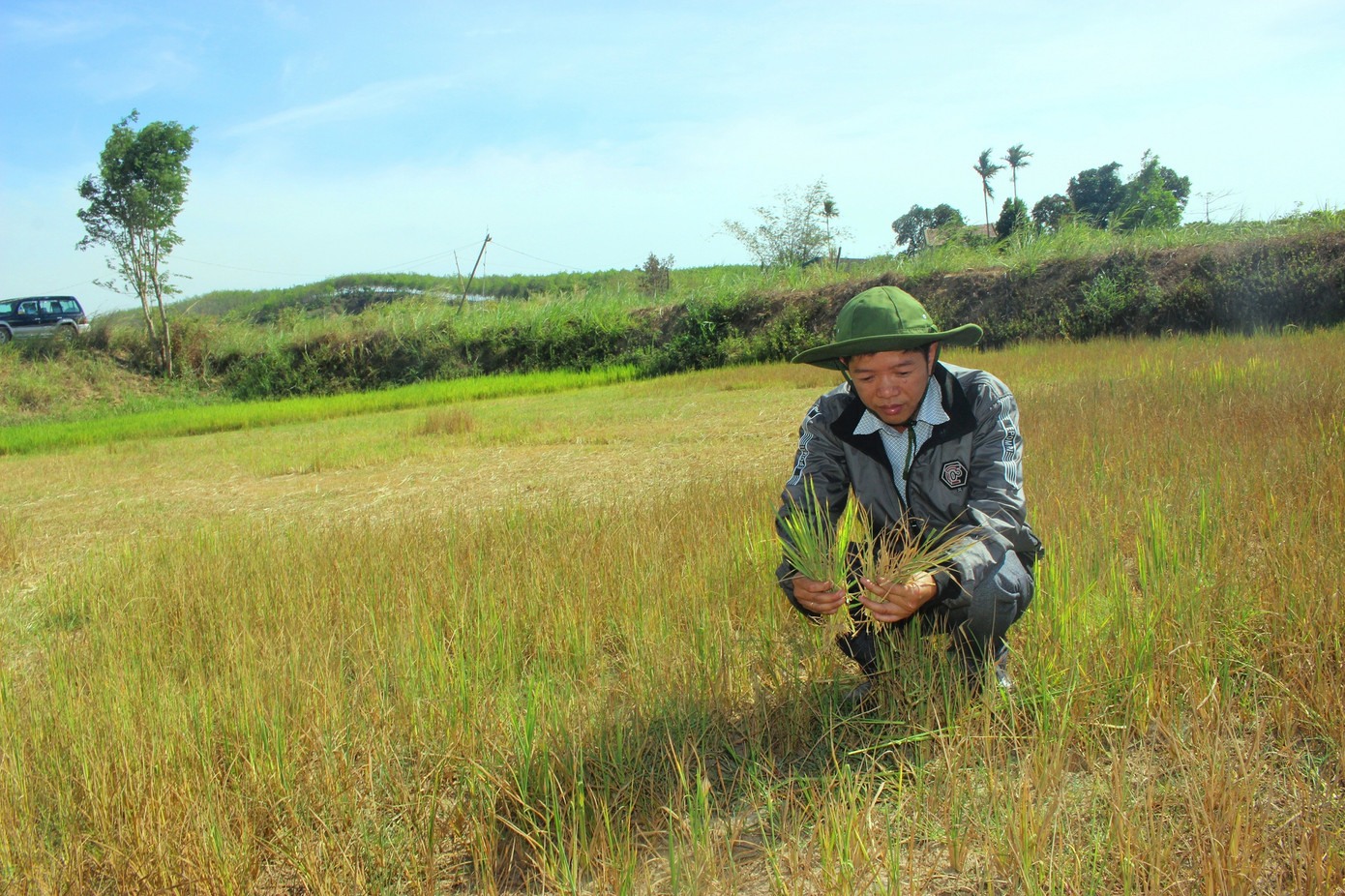 Đắk Lắk: Hơn năm nghìn hecta cây trồng “khát” nước ảnh 1