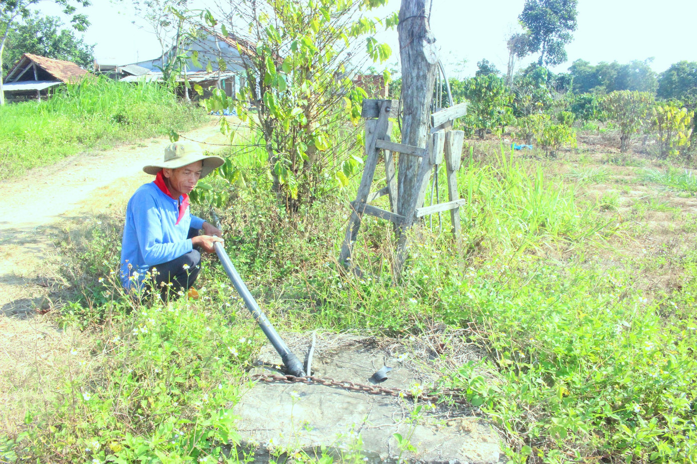 Đắk Lắk: Hơn năm nghìn hecta cây trồng “khát” nước ảnh 3