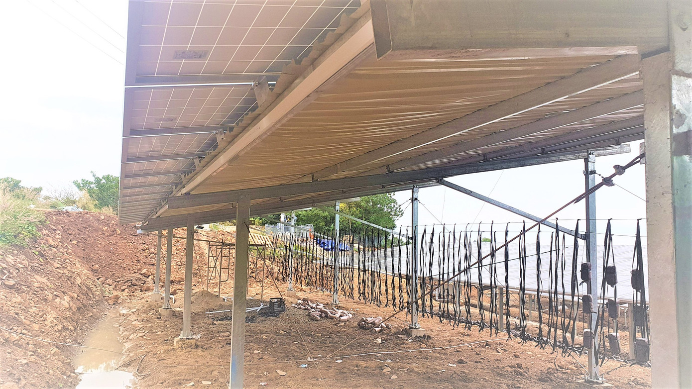 Đắk Lắk đồng loạt kiểm tra điện mặt trời áp mái mô hình trang trại ảnh 1