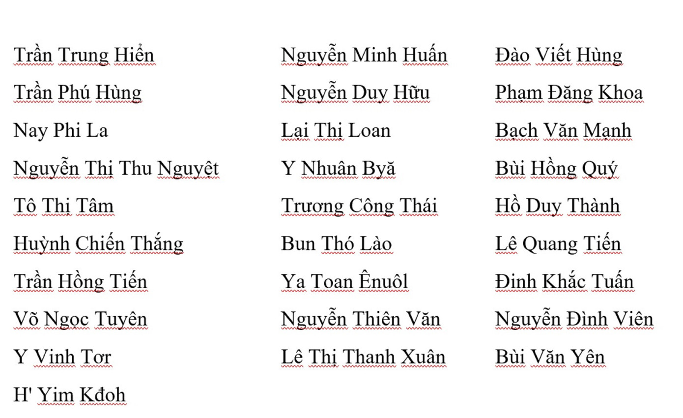 Ông Bùi Văn Cường tái cử Bí thư Tỉnh ủy Đắk Lắk ảnh 2
