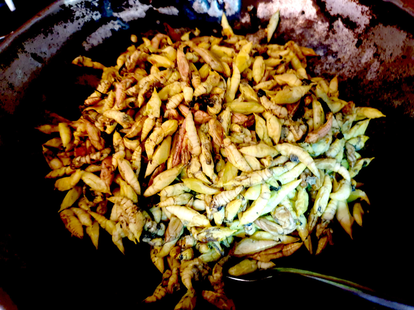 Rợn người món 'tôm rừng' Tây Nguyên ảnh 6