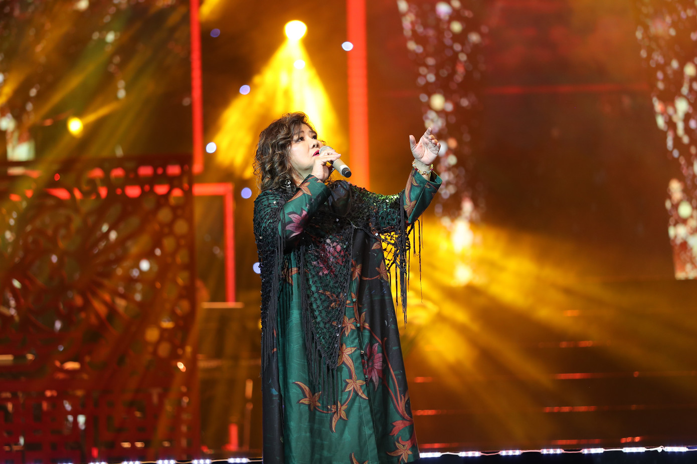 ‘Tết Vạn Lộc’: Quang Lê nói lời cảm tạ, tiễn biệt Chí Tài và các nghệ sĩ ra đi năm qua ảnh 3