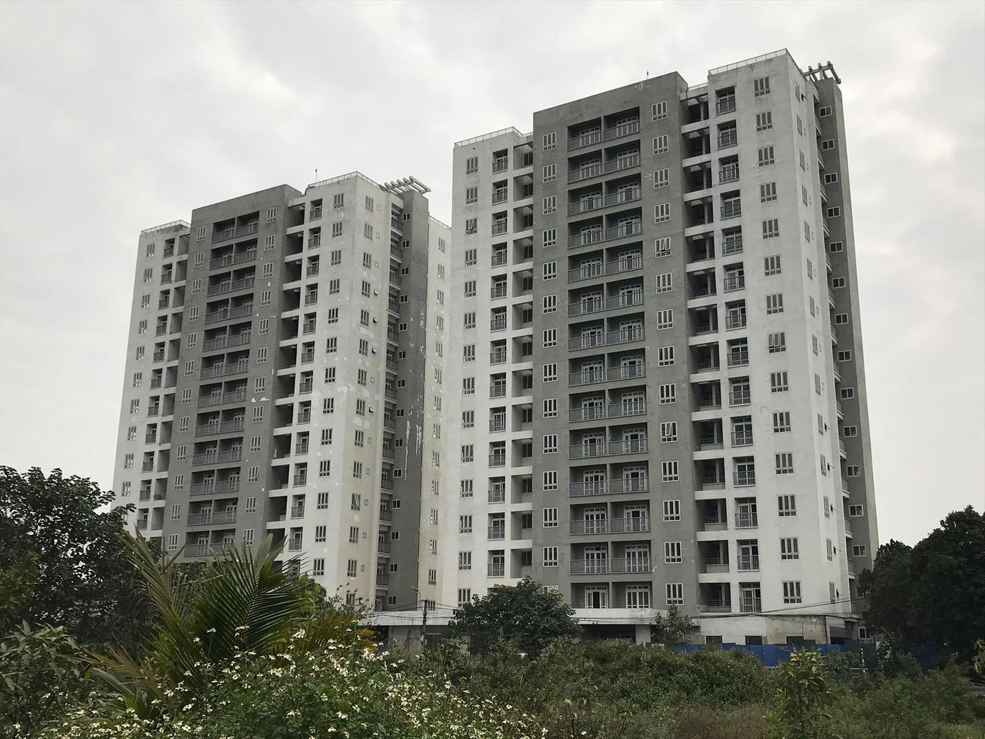 Ký túc xá nghìn tỷ đồng thành khu ổ chuột! ảnh 1