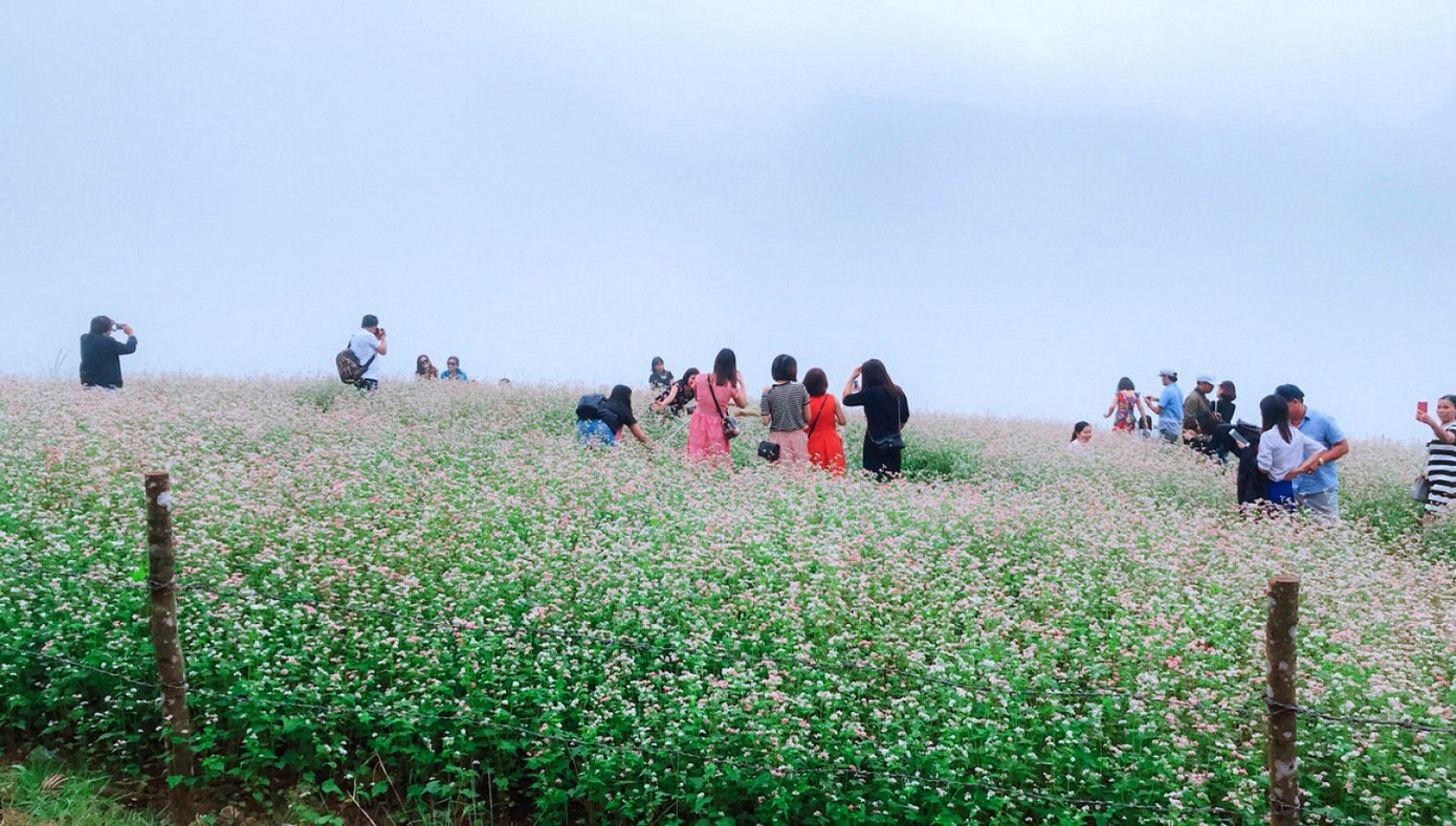 Xu hướng du lịch 'bình thường mới' ảnh 2