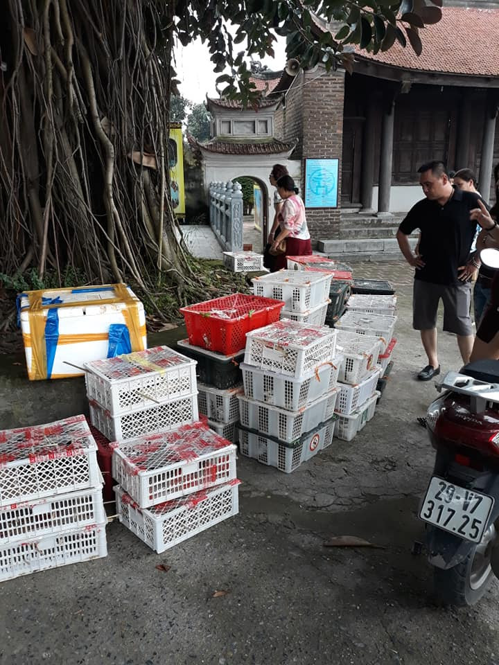 Góc khuất phóng sinh thời 'cô vi' ảnh 4