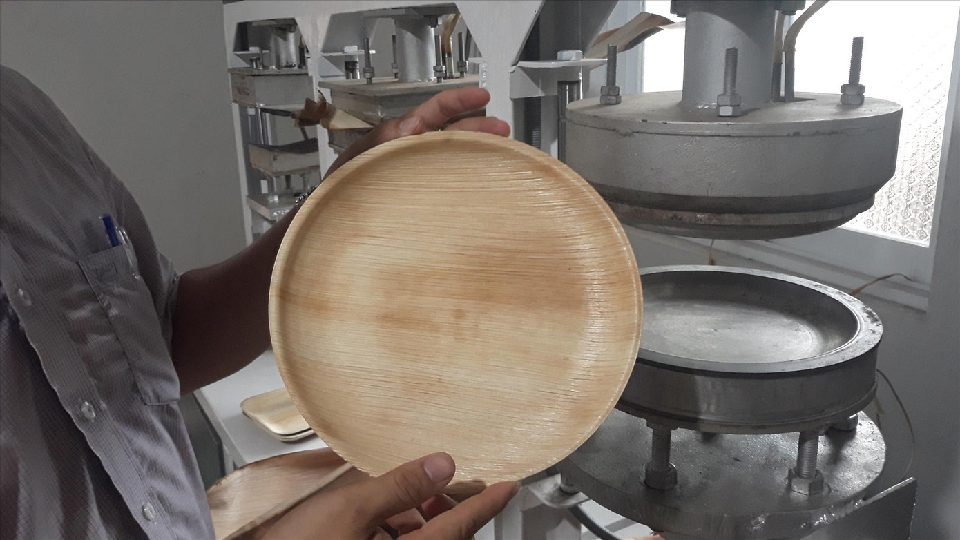 Chàng trai thổi hồn vào mo cau ảnh 2