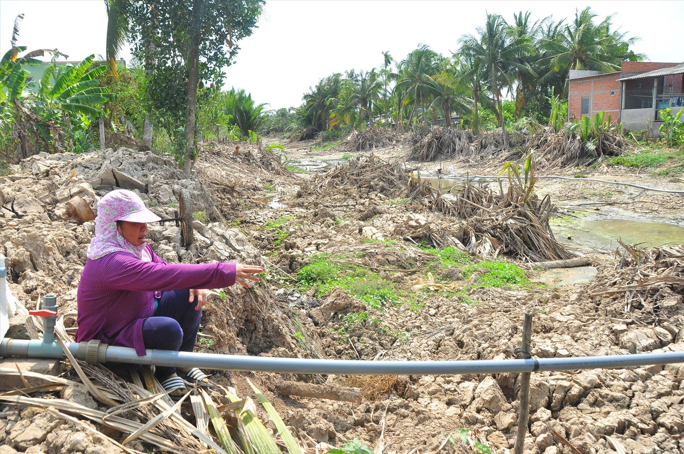 Ruộng đồng 'hấp hối' ảnh 1