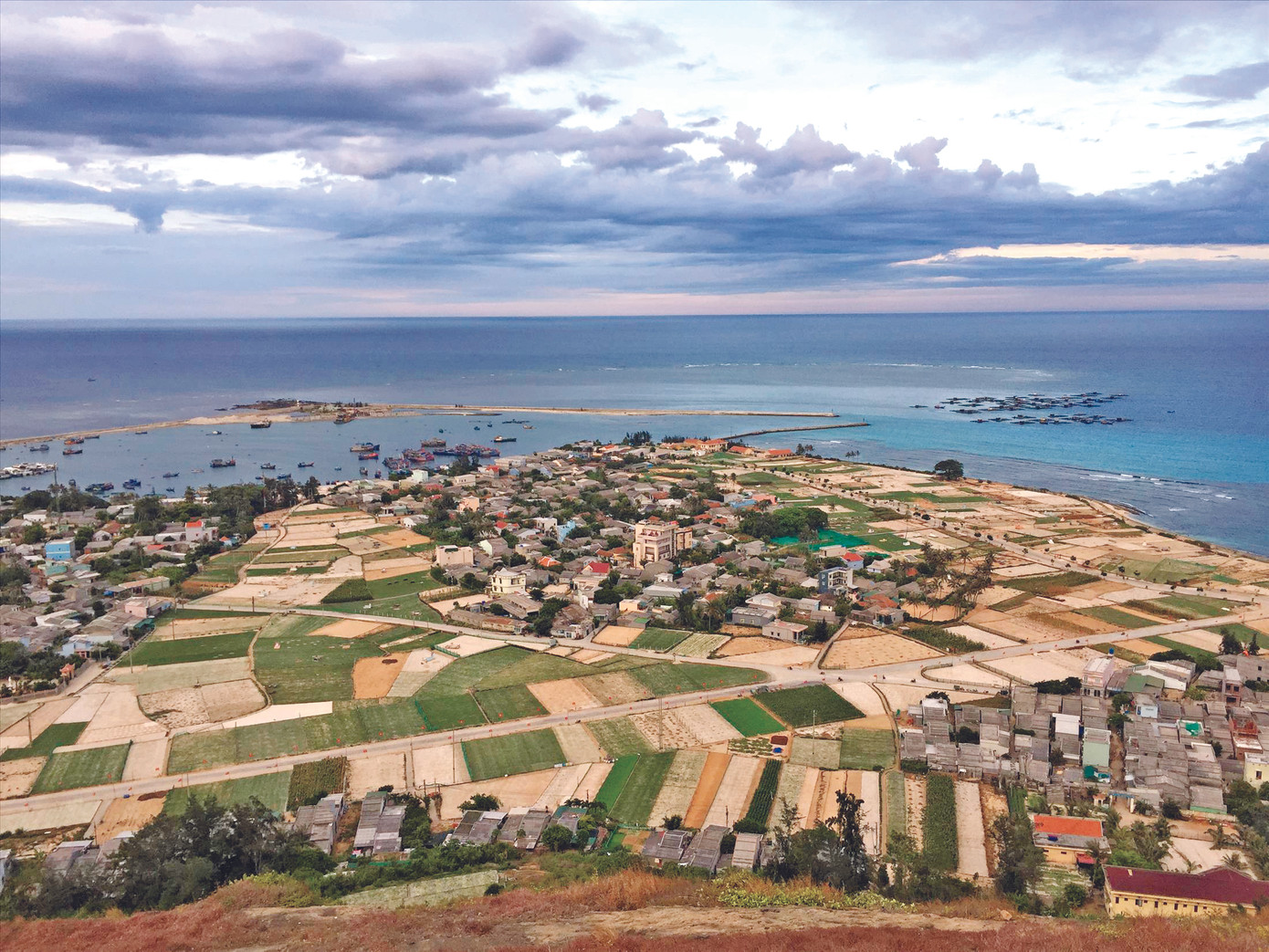 Lý Sơn tăng tốc cho Tiền Phong Marathon ảnh 3