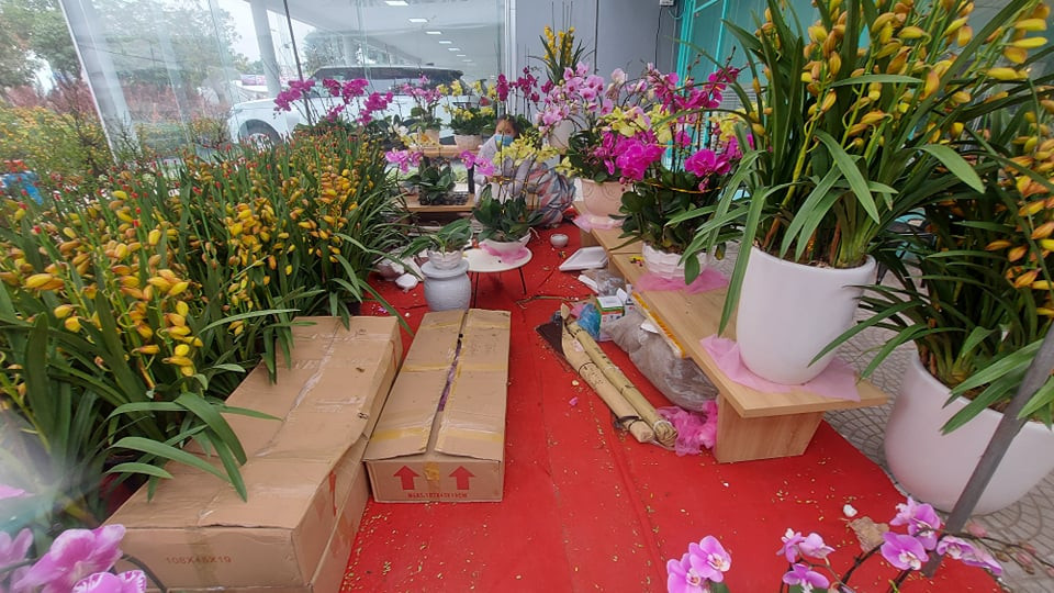 Tràn ngập hoa lan từ Trung Quốc, dân lo ngại COVID - 19 ảnh 7