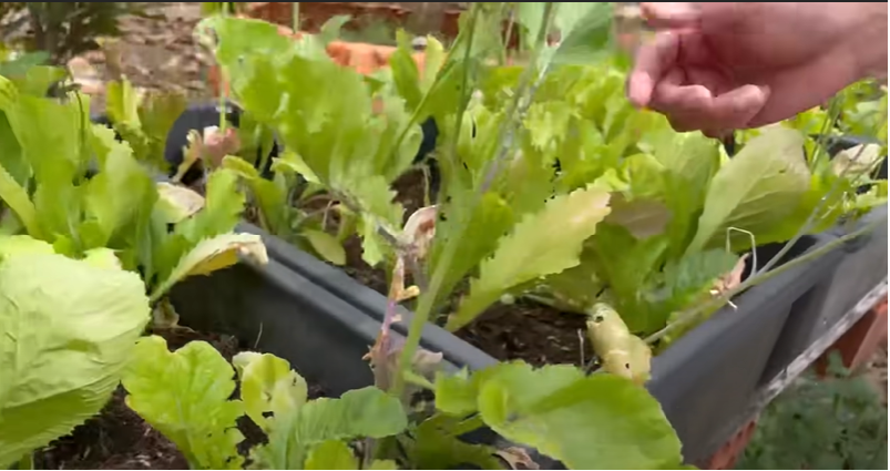 Huy Khánh hé lộ hình ảnh đặc biệt khi tới thăm nhà thờ Tổ trăm tỷ của Hoài Linh ảnh 3