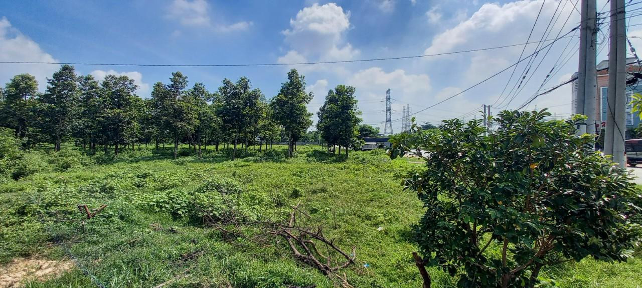 Thu hồi chục nghìn m2 đất của dân ở Bình Dương không có quyết định? ảnh 1