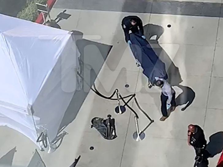 ‘Trùm’ giải trí Hollywood nhảy lầu tự tử từ tầng 27 ảnh 1