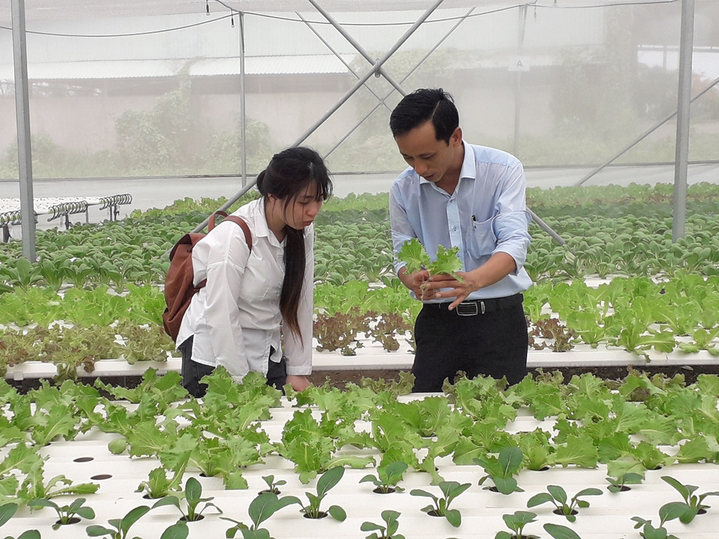 Sản xuất rau quả sạch trên bãi rác ở TPHCM ảnh 3