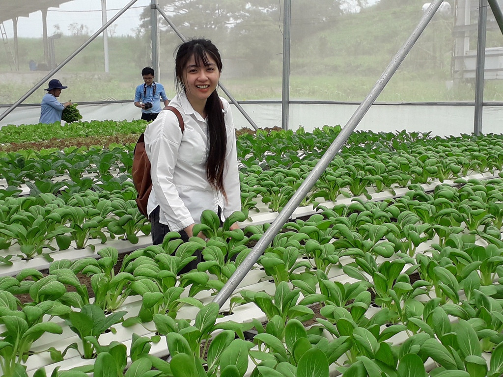 Sản xuất rau quả sạch trên bãi rác ở TPHCM ảnh 6