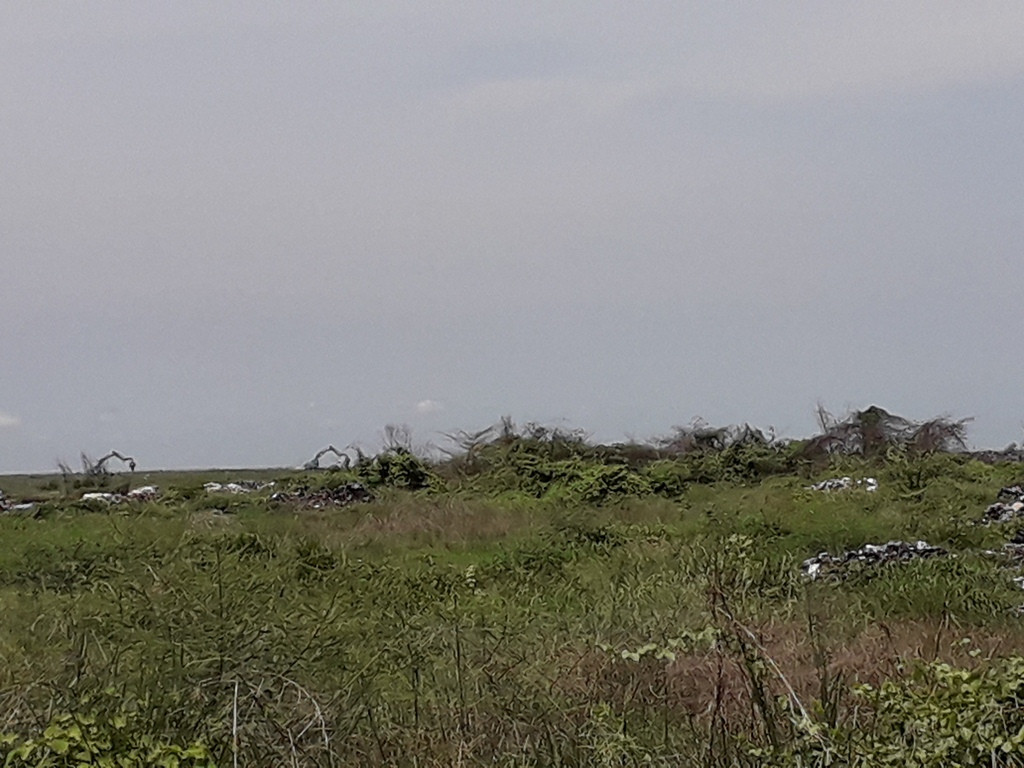 Cận cảnh khu đất làm điện mặt trời Thái Lan muốn mua sát biên giới Campuchia ảnh 6