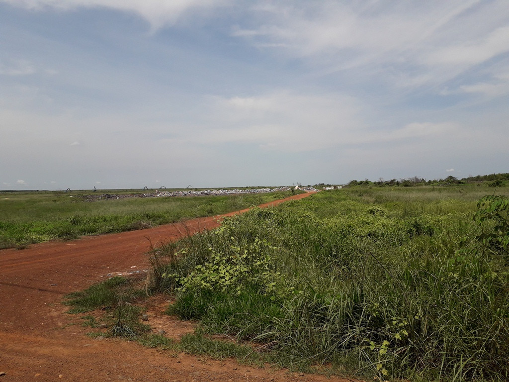 Cận cảnh khu đất làm điện mặt trời Thái Lan muốn mua sát biên giới Campuchia ảnh 8