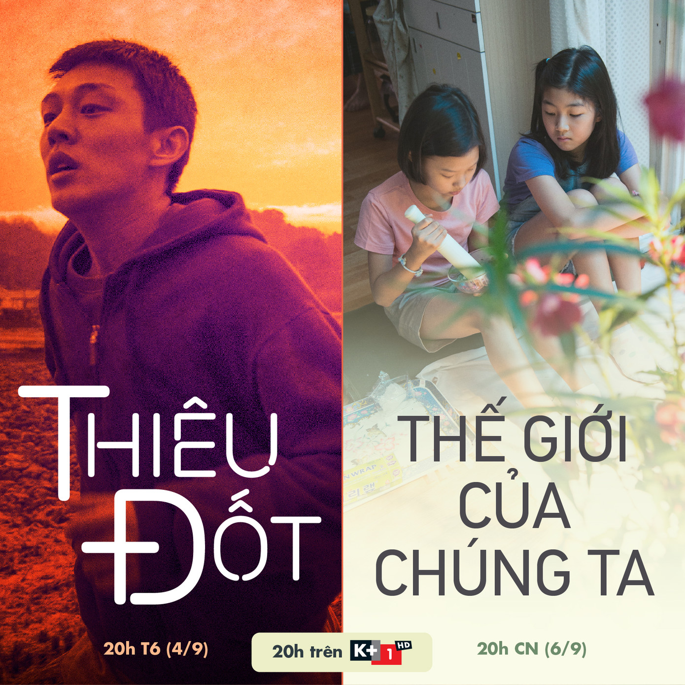 Thiêu Đốt và Thế Giới Của Chúng Ta trên K+ ảnh 1