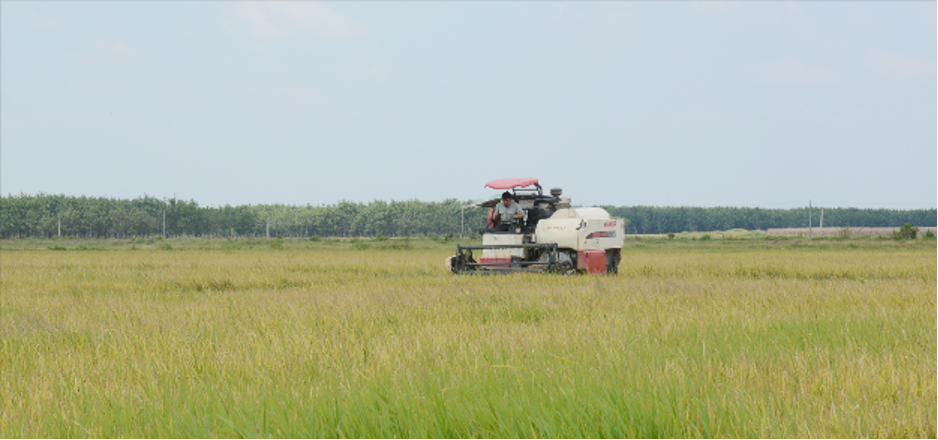 Chiến dịch Chăm sóc máy Yanmar 2020: Đồng loạt, thiết thực, hiệu quả ảnh 2