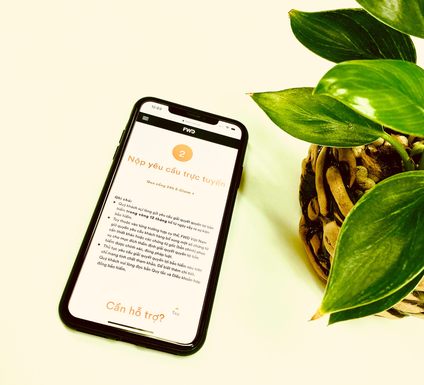 Một phút làm thủ tục, nhận bồi thường bảo hiểm trong vòng 1 ngày ảnh 2