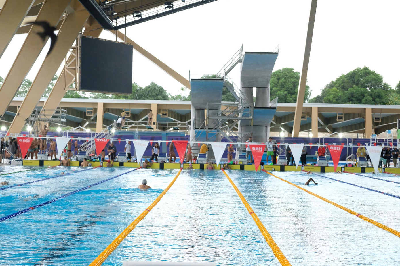 Ánh Viên tập luyện hăng say, sẵn sàng săn vàng SEA Games ảnh 9