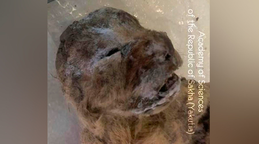 1001 thắc mắc: Thung lũng chết Siberia rộng thế nào? ảnh 6