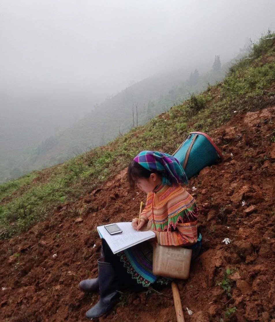 Học sinh vùng cao Việt Bắc kê cuốc ngồi giữa nương ngô học trực tuyến ảnh 5