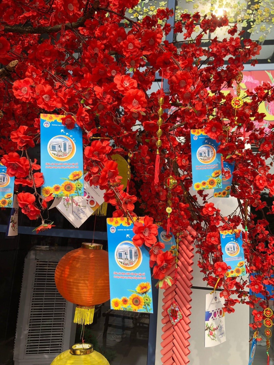 Đi học vào tháng 5: Sinh viên vẫn được nhận lì xì năm mới ảnh 1