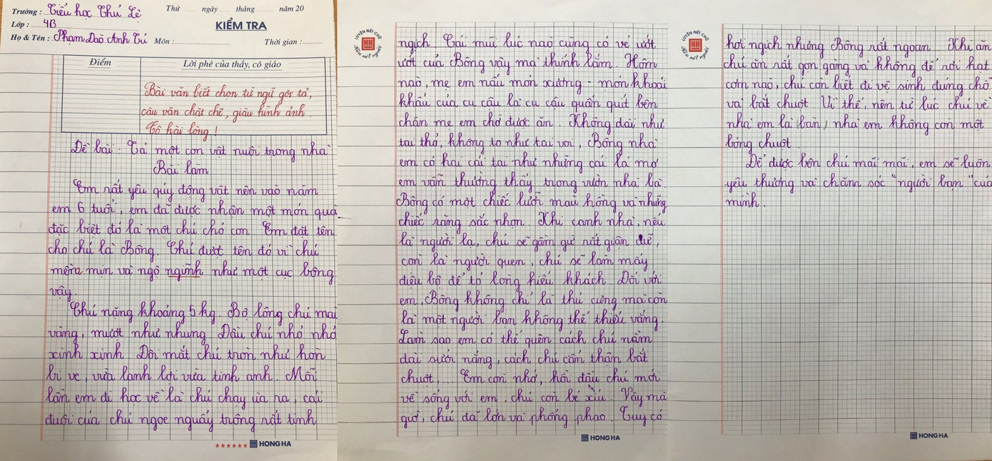 Tiết học tập làm văn siêu 'cute' của cô trò lớp 4 ảnh 5